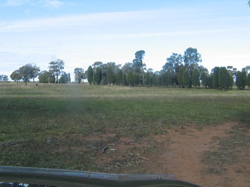 Dunedoo NSW 2844