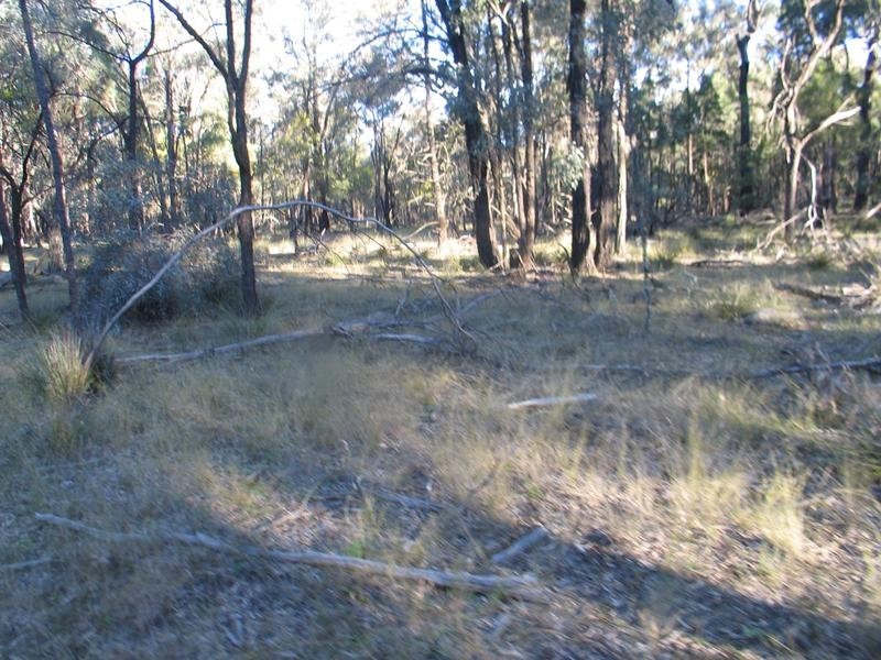 589 Patrick Road, Dunedoo NSW 2844