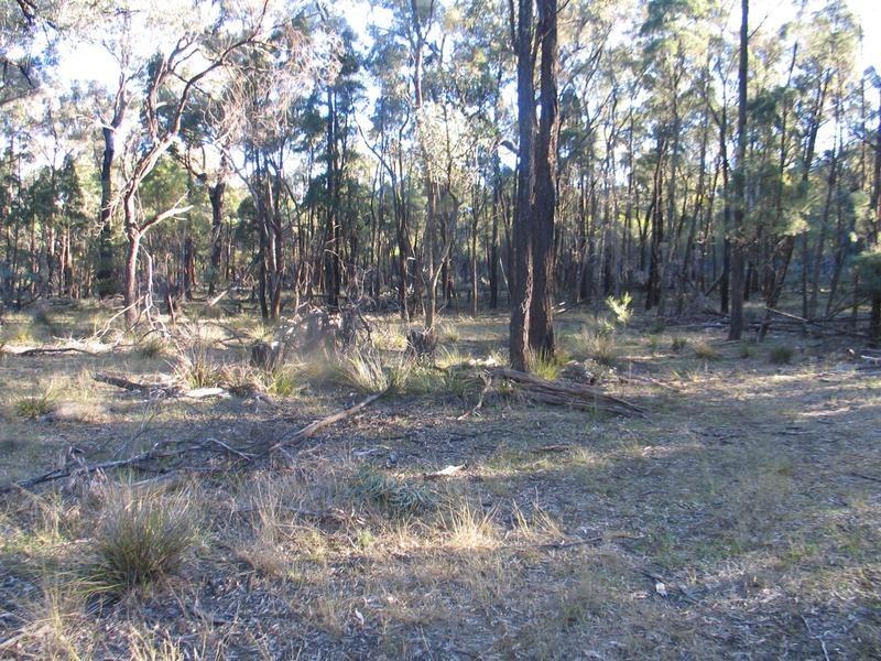 589 Patrick Road, Dunedoo NSW 2844