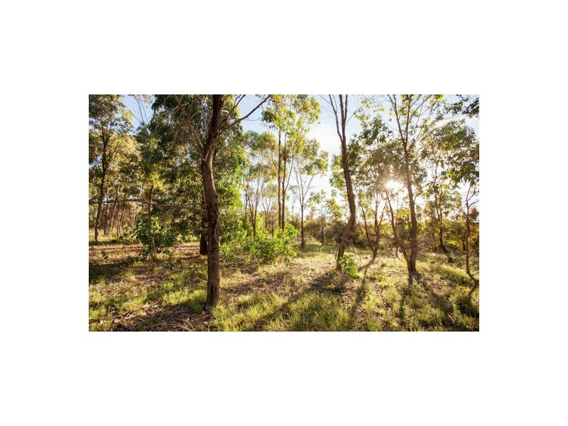 1800 GLEN DAVIS RD, Capertee NSW 2846