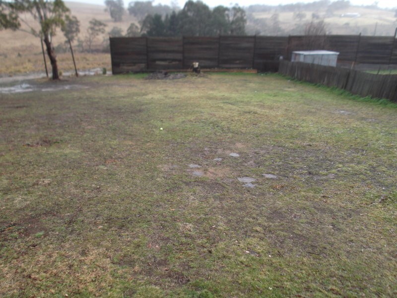 221 Maybe Street, Bombala NSW 2632