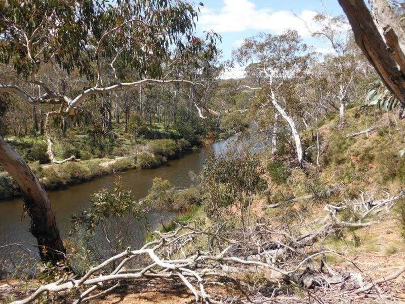 Lot 5 Creewah Road, Creewah NSW 2631