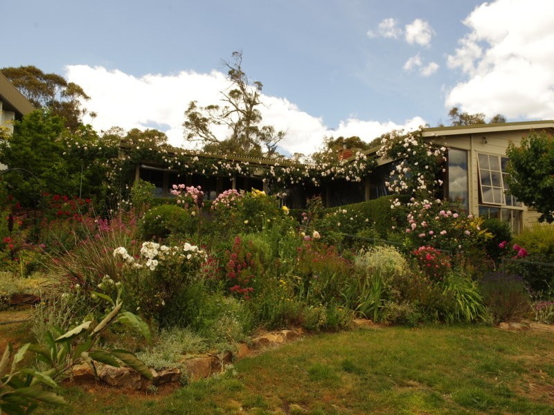 17 Headland Road, Anglers Reach NSW 2629