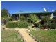 1100 Quidong Road, Bombala NSW 2632