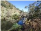 1100 Quidong Road, Bombala NSW 2632