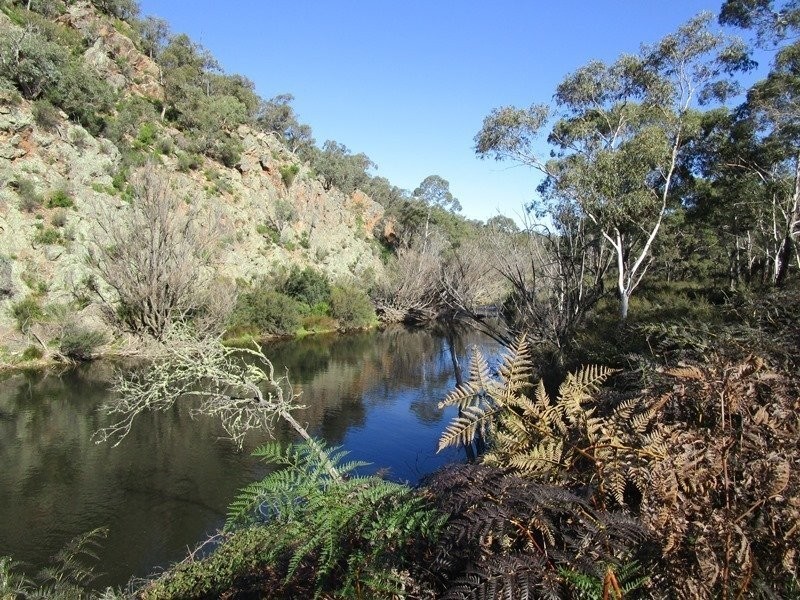 1100 Quidong Road, Bombala NSW 2632