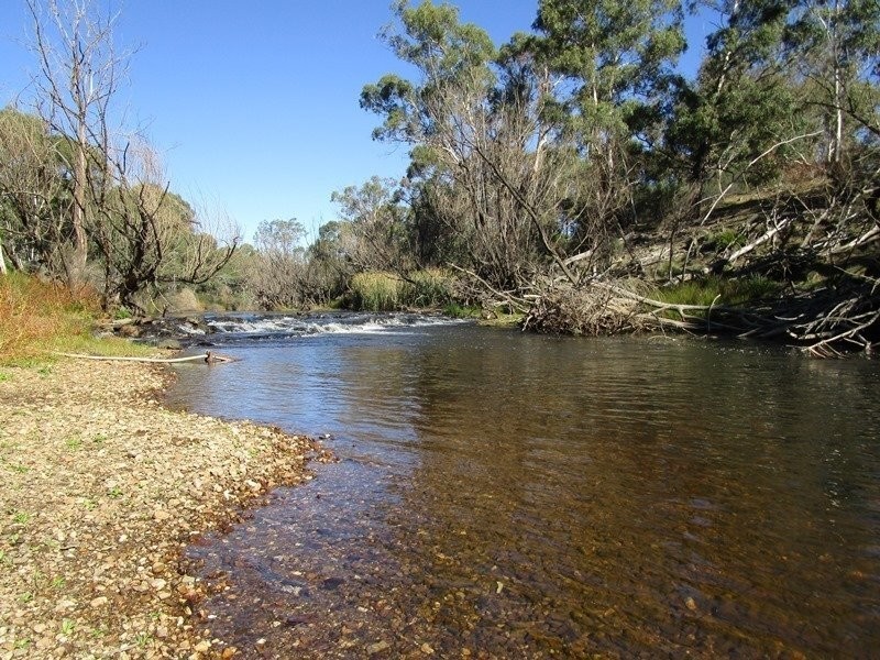 1100 Quidong Road, Bombala NSW 2632