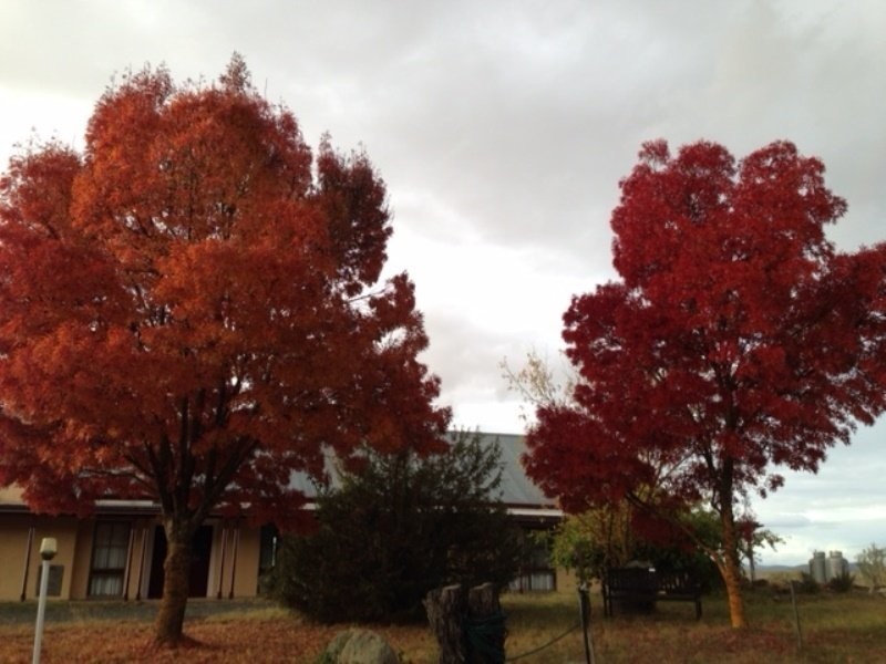 268 Bunyanvale Road, Cooma NSW 2630