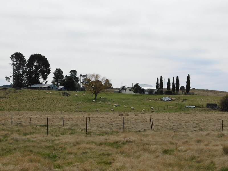 45 Clarke Street, Nimmitabel NSW 2631