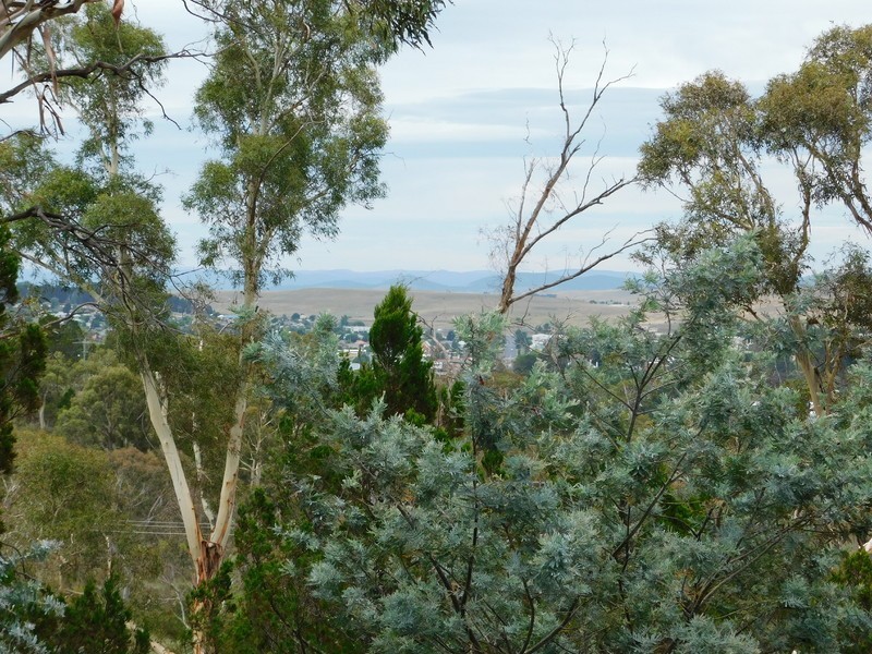 5 Kaufline Close, Cooma NSW 2630