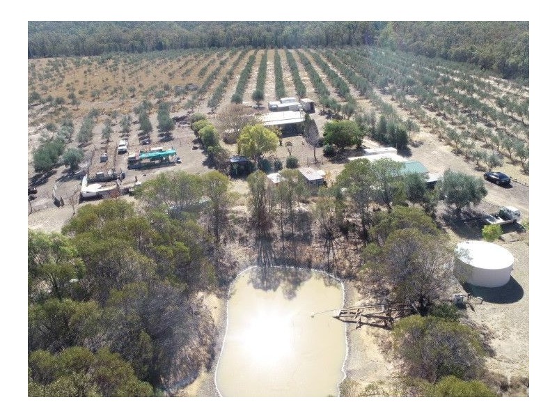 2 Rosemary Court, Forest Ridge QLD 4357