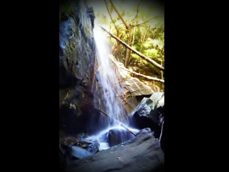 260 Hausmann Road, Mount Mee QLD 4521