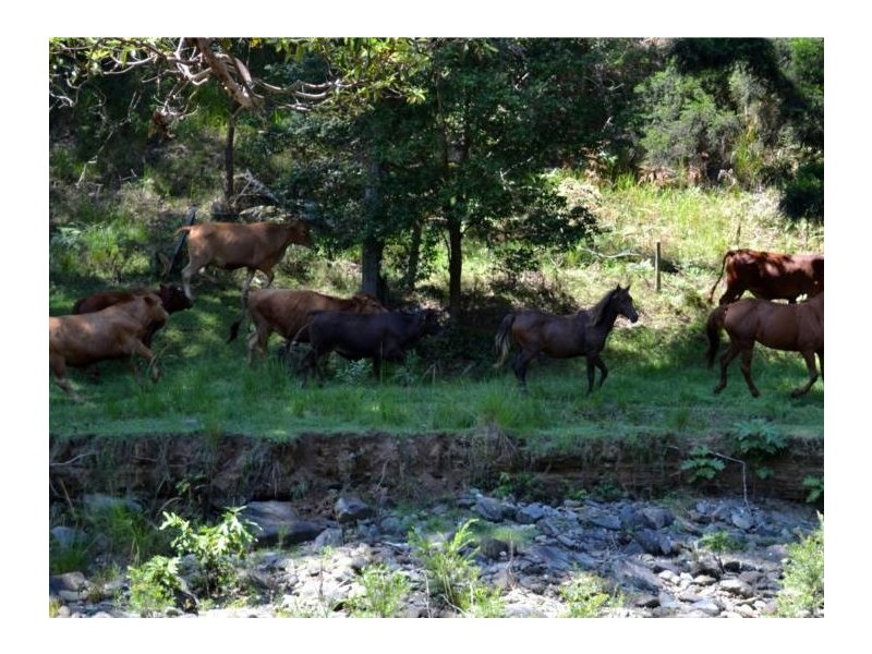 260 Hausmann Road, Mount Mee QLD 4521