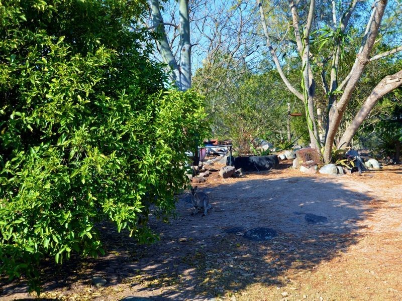 37 King Road, Maidenwell QLD 4615