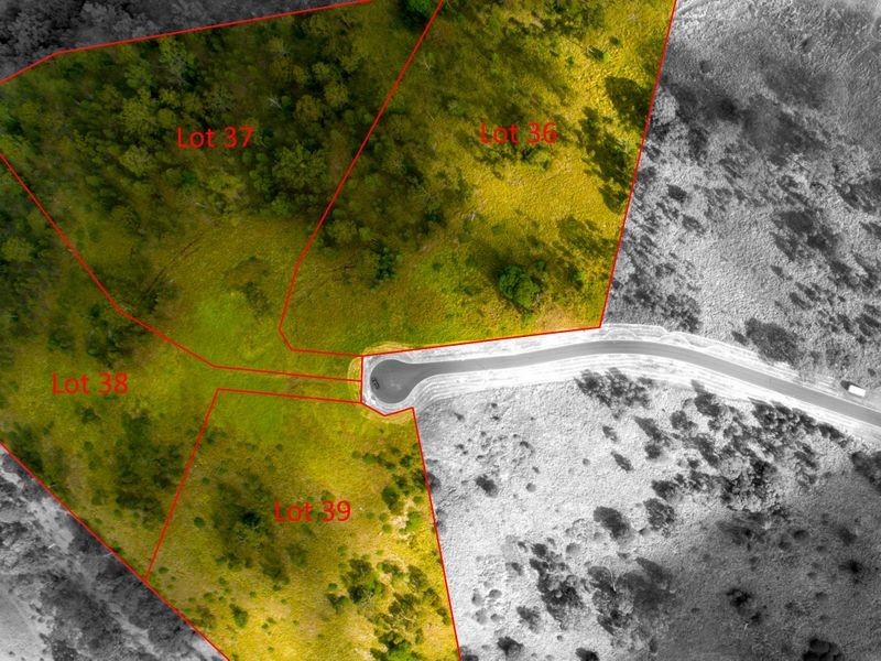 Lot 36 Charlotte Road, Hampton QLD 4352