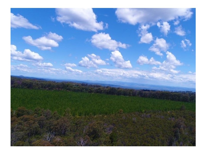 106 Erbacher Road, Hampton QLD 4352