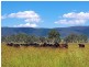 685 Cressbrook Caboonbah Road, Cressbrook QLD 4313