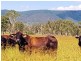 685 Cressbrook Caboonbah Road, Cressbrook QLD 4313