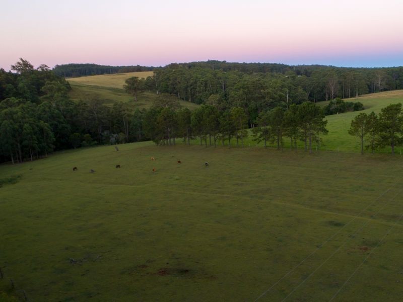 84 Palmtree Road, Ravensbourne QLD 4352