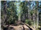 532 White Mountain Road, White Mountain QLD 4352