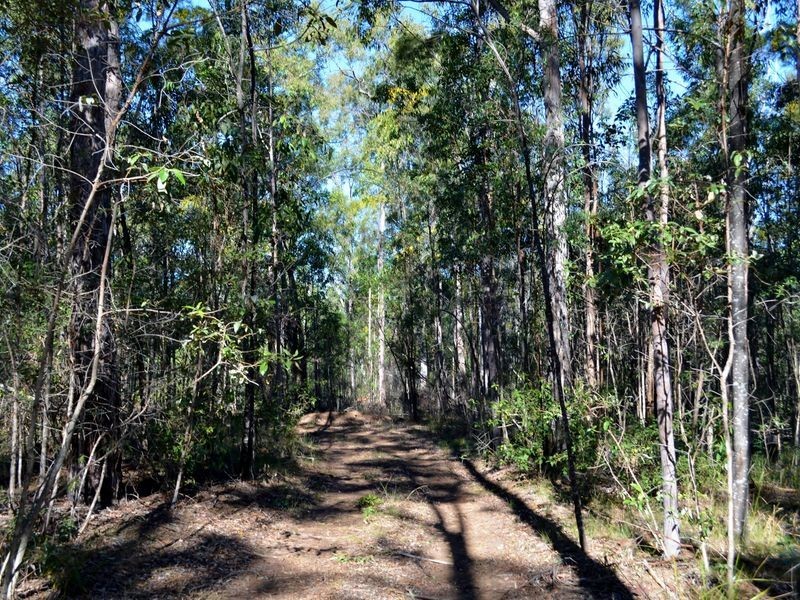 532 White Mountain Road, White Mountain QLD 4352