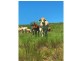 540 Spring Creek Road, Harlin QLD 4306