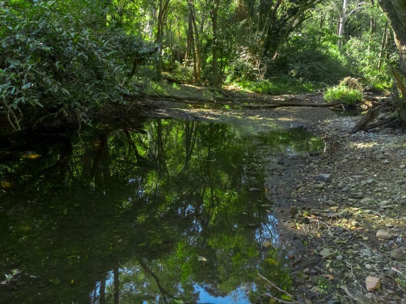 368 Rasmussen Road, Mount Archer QLD 4514