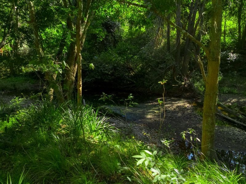 368 Rasmussen Road, Mount Archer QLD 4514