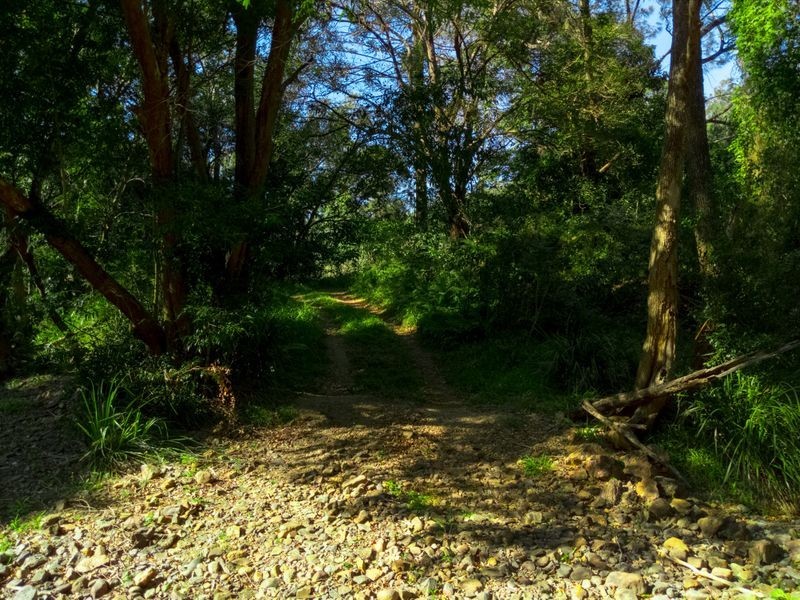 368 Rasmussen Road, Mount Archer QLD 4514