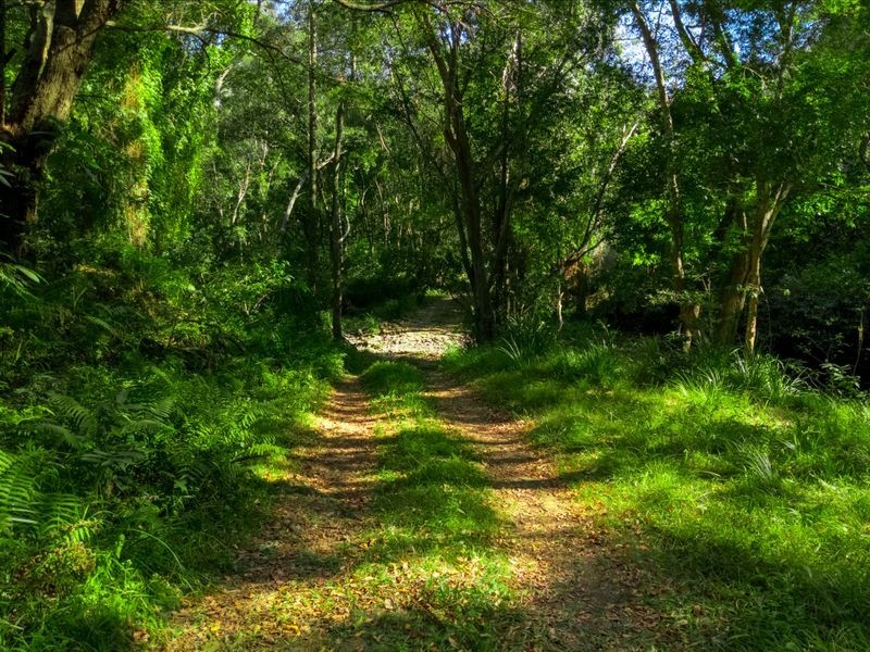 368 Rasmussen Road, Mount Archer QLD 4514