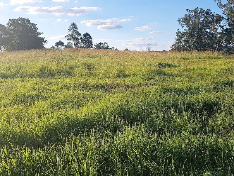 24 Schwager Road, Ravensbourne QLD 4352
