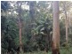 24 Schwager Road, Ravensbourne QLD 4352