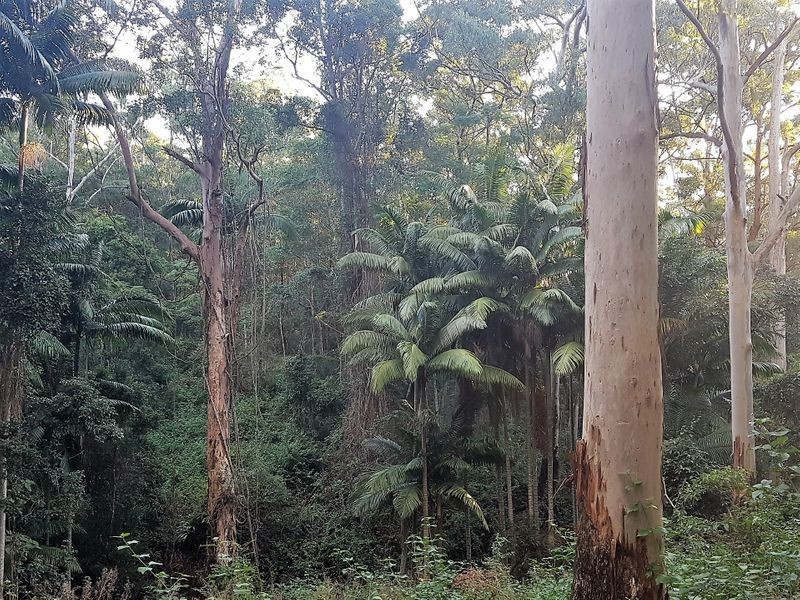 24 Schwager Road, Ravensbourne QLD 4352