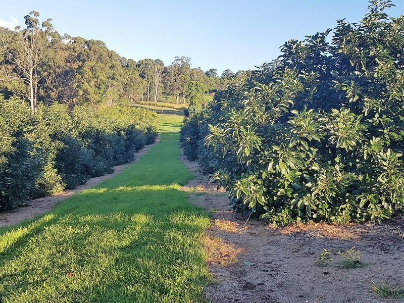24 Schwager Road, Ravensbourne QLD 4352