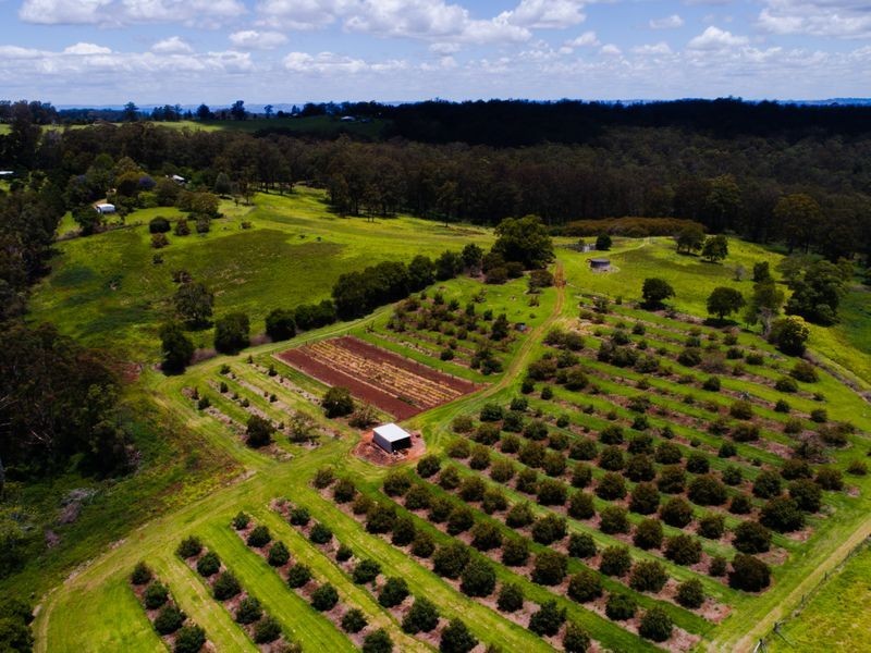 24 Schwager Road, Ravensbourne QLD 4352