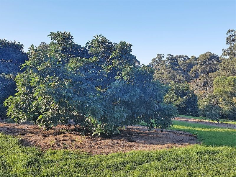 24 Schwager Road, Ravensbourne QLD 4352