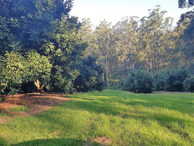 24 Schwager Road, Ravensbourne QLD 4352