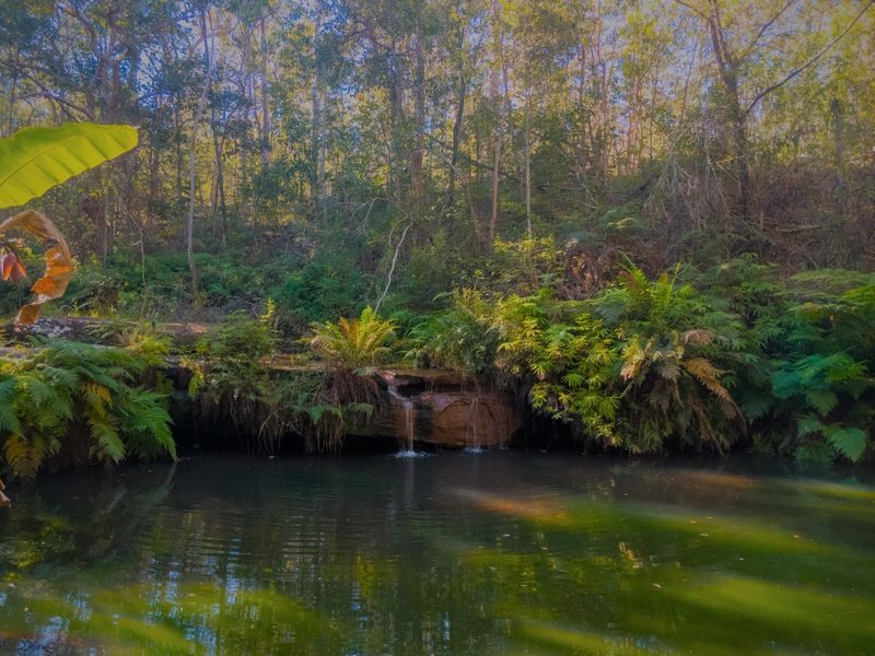 250 Mount Mulgowie Road, Buaraba QLD 4311