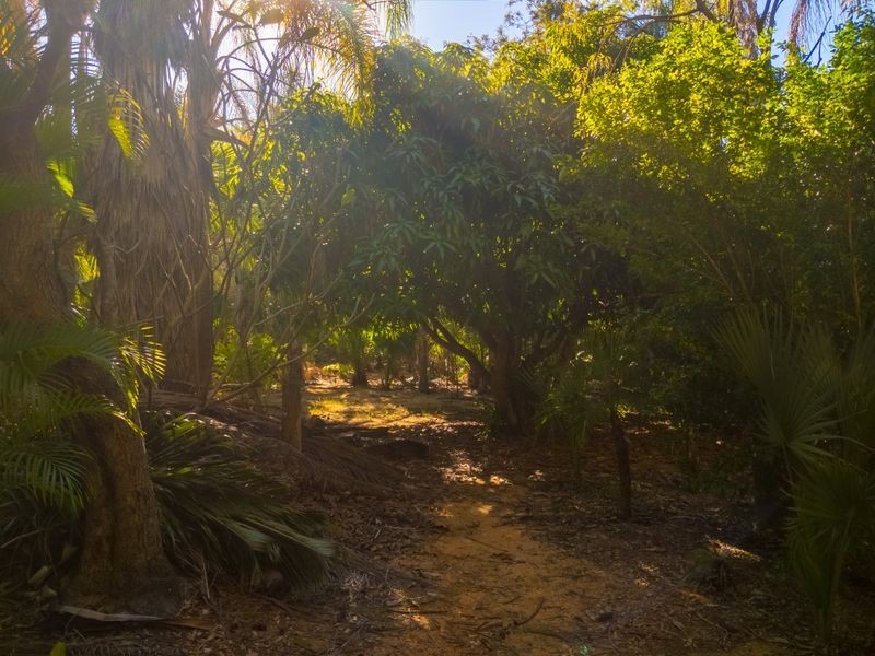 250 Mount Mulgowie Road, Buaraba QLD 4311