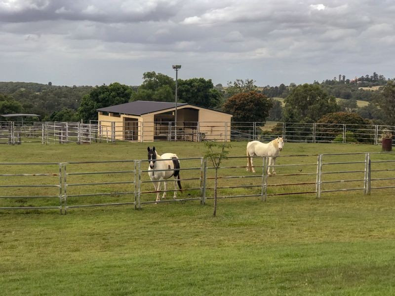 125 Steinhardts Road, Marburg QLD 4346