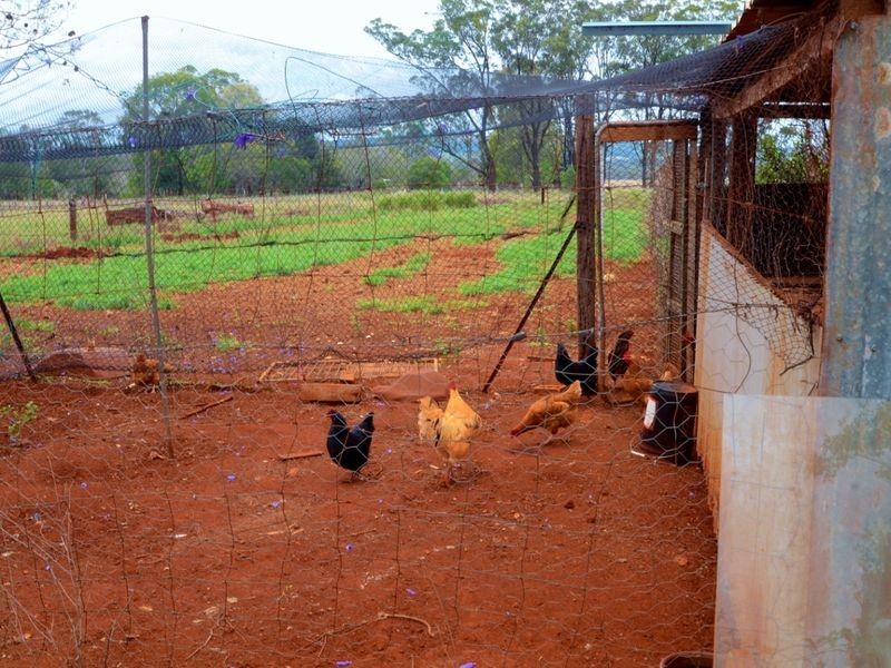 191 Lankowskis Road, Kingaroy QLD 4610