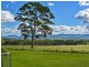 927 Munbilla Road, Munbilla QLD 4309