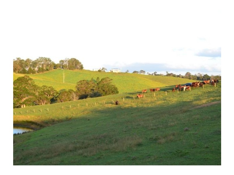 89 Hausmann Road, Mount Mee QLD 4521