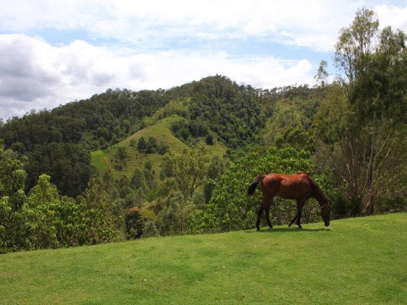 424 Mount Kilcoy Road, Mount Kilcoy QLD 4515
