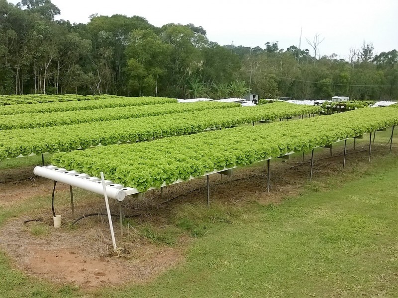 Wamuran QLD 4512