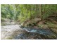 Springbrook QLD 4213