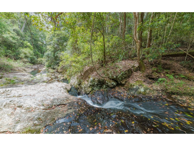 Springbrook QLD 4213
