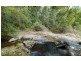 Springbrook QLD 4213