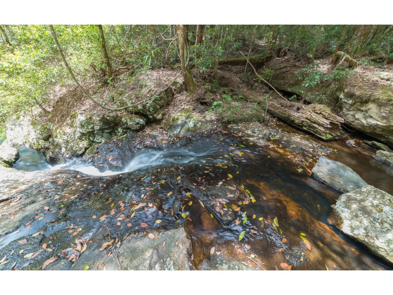 Springbrook QLD 4213