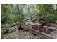 Springbrook QLD 4213
